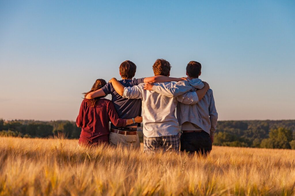 personnes dans un champ de blé