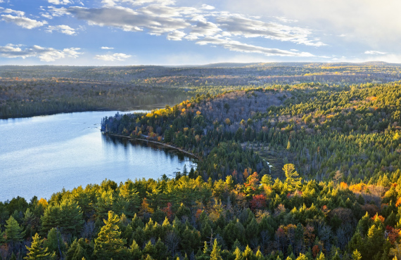 parc algonkin